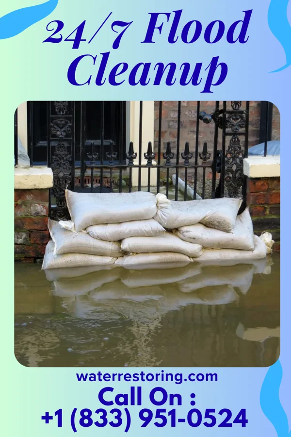 24/7 Flood Cleanup in Thayer, IL