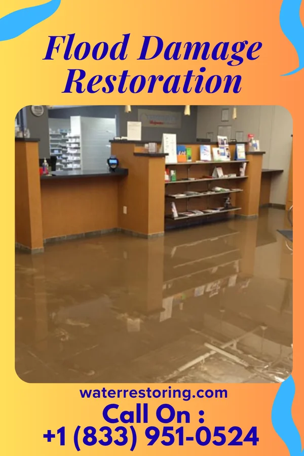 Flood Damage Restoration in Thayer, IL