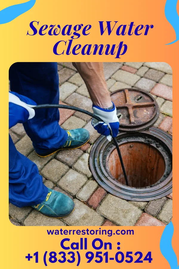 Sewage Water Cleanup in Thayer, IL